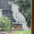Close-up of a left-facing frosted Cockatoo window cling clinging to glass, showing etched-glass texture and soft matte finish.