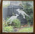 Two frosted Jumping Kangaroo window clings displayed on a window, showing left and right-facing designs with etched-glass texture and soft matte finish.