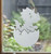 Close-up of a right-facing frosted  Baby Dinosaur window cling clinging to glass, showing etched-glass texture and soft matte finish.
