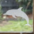 Dolphin - Splash frosted window cling, reusable static window decal with an etched‑glass finish, renter‑friendly and perfect for home, office, or classroom windows.