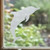 Installed view of the Dolphin - Splash frosted window cling, showing its reusable static‑cling design and soft etched‑glass effect.