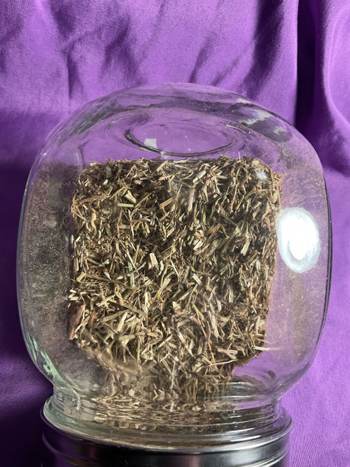 Herb: Vervain Organic 30g