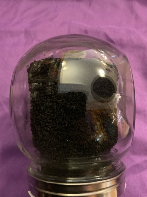 Herb: Black Cumin Seeds