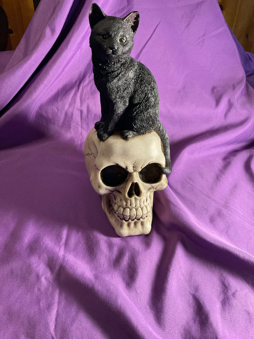 Skull w/ Black Cat