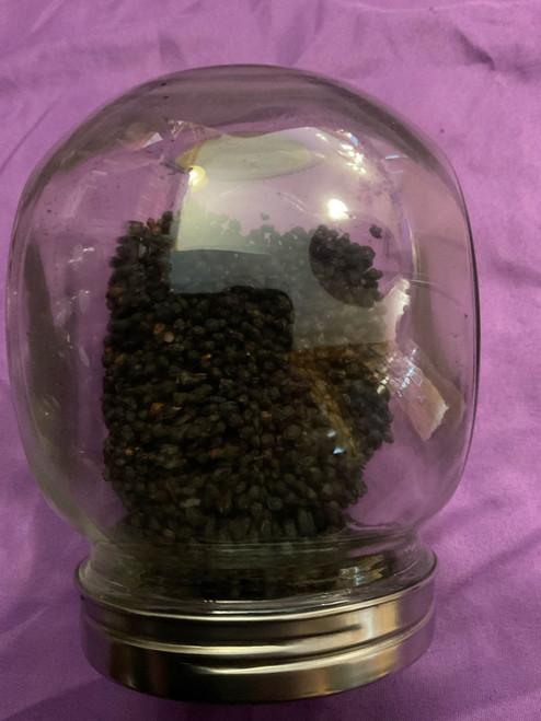 Herb: Elderberry Organic 40g