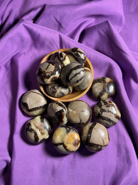 Septarian Palm Stone