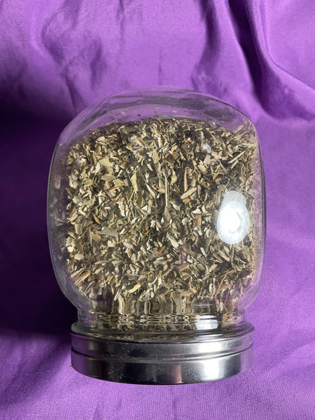 Herb: Olive Leaf