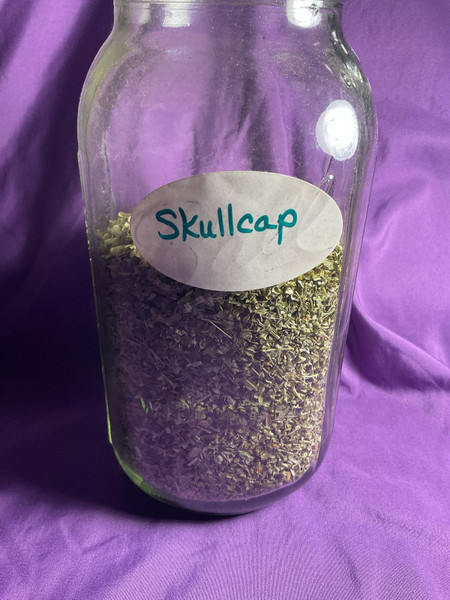 Herb: Skullcap Organic 10g