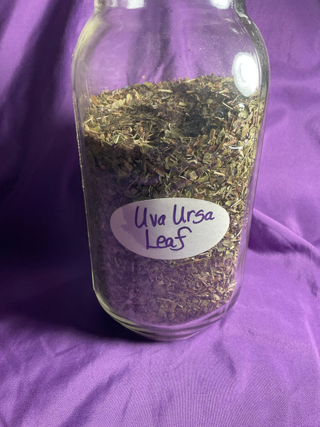 Herb: Uva Ursa Leaf
