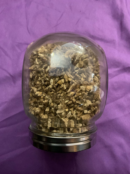 Herb: Angelica Root