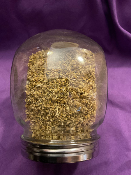 Herb: Yarrow Flowers