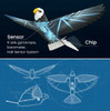 RC BIRD Eagle Ornithopter  FLAPPING WING 2.4GHZ RTF