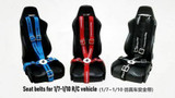 1/10 rc racing seat belts