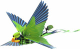  RC BIRD Ornithopter Flapping Wings 2.4GHZ RTF -GREEN-