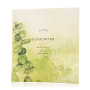 Eucalyptus Bath Salts Envelope