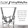 FLOW Ice Whisky Glass Set of 2