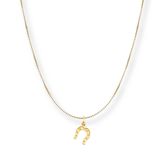 HORSE SHOE KEEPSIE CHAIN NECKLACE