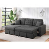 Sandy 2 pcs Sectional with with Pull-out Bed and Hidden Storage - SF
