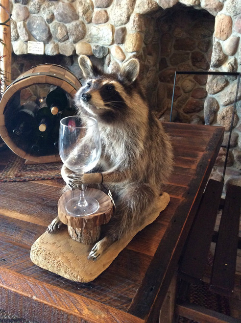 Raccoon With Wine Glass
As Seen In Store