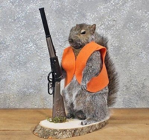 Hunting Squirrel