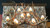 Elk Shed Chandelier - $6609.00