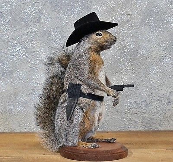 Cowboy Squirrel