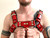 Rubber Harness  - Adjustable Straps