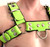 Rubber Harness  - Adjustable Straps