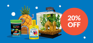 Savings That Make a Splash