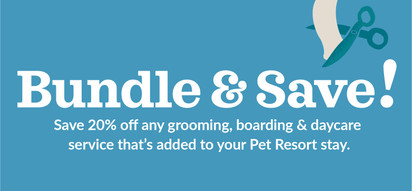 Feeders Pet Supply