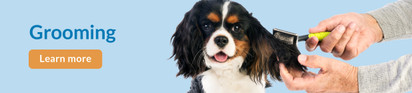 Feeders Pet Suppl