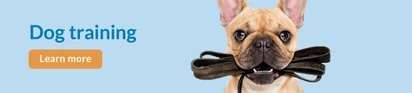 Feeders Pet Suppl