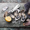 TOADFISH - Pro Edition Oyster Knife - White