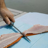 TOADFISH - 7" Stowaway Filet Knife - Teal