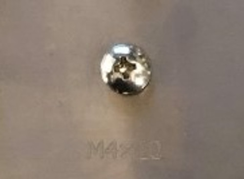 M4X10-02 BULL PHILLIPS PAN HEAD LG 