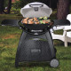 Weber Q3200 Grill - Titanium