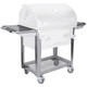 Bison Charcoal Grill Cart Bottom