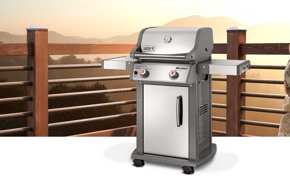 Weber s100