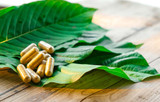 Maeng Da vs Bali Kratom: A Complete Guide to Their Differences and Benefits