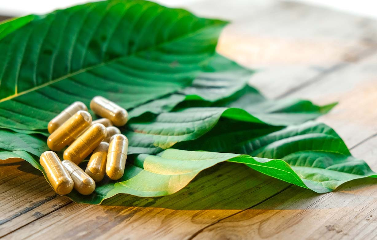 Maeng Da vs Bali Kratom: A Complete Guide to Their Differences and Benefits thumbnail image