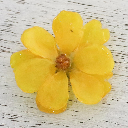 Natural Cosmos Flower Brooch in Goldenrod from Thailand 'Blooming Cosmos in Goldenrod'
