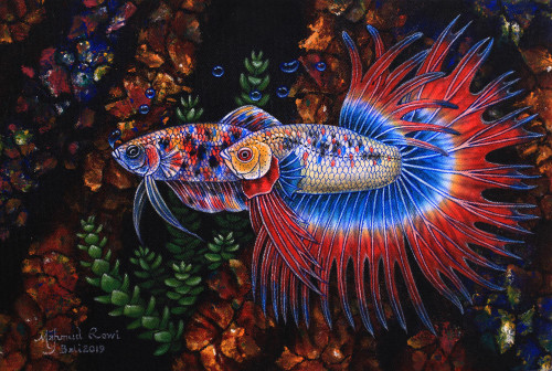 Signed Betta Fish Couple Painting from India 'A Couple Teen Betta Fish'