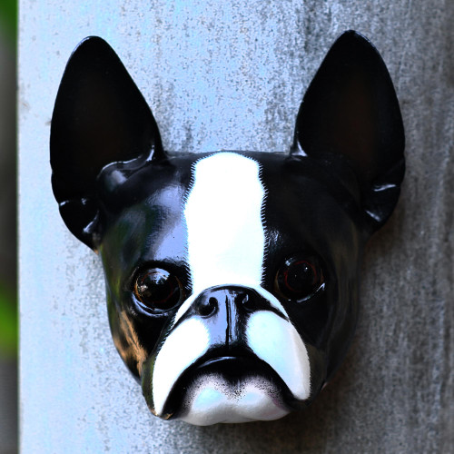 Wood mask 'Sweet Boston Terrier'