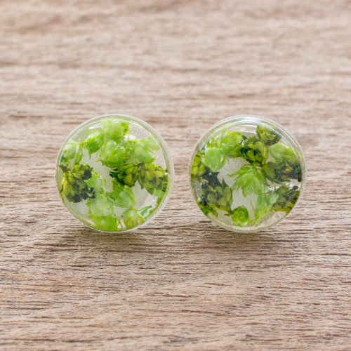 Green Flower in Clear Resin Button Earrings from Costa Rica 'Eternal Bouquet in Green'