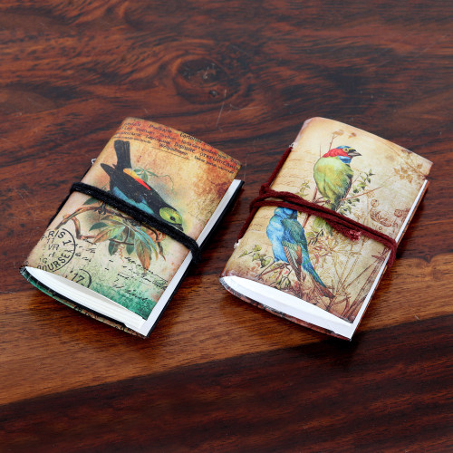 Set of 2 Handmade Indian Paper Mini Journals with Birds 'Spring Songbirds'