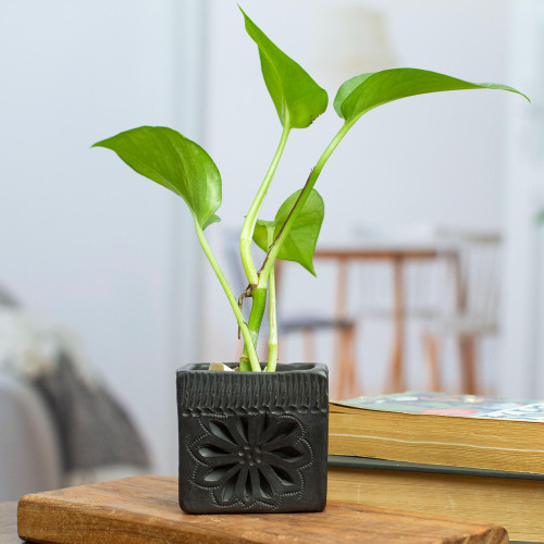 Barro Negro Black Ceramic Mini Flower Pot Handmade in Mexico 'Square  Flower'