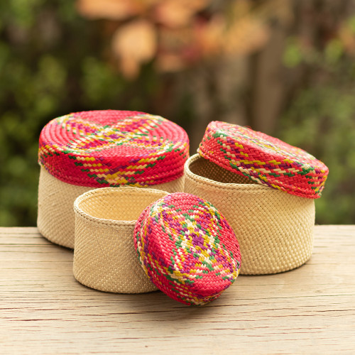 Handwoven Natural Fiber Colorful Baskets From Colombia 'Nests of Nario'