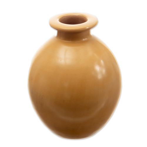 Chulucanas Ceramic Decorative Vase Handmade in Peru 'Exquisite Earth'