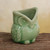 Handcrafted Green Thai Celadon Bird Theme Toothpick Pot 'Happy Green Owl'