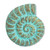 Seashell Wall Art Sculpture Handmade with Recycled Paper 'Fossilized Nautilus'